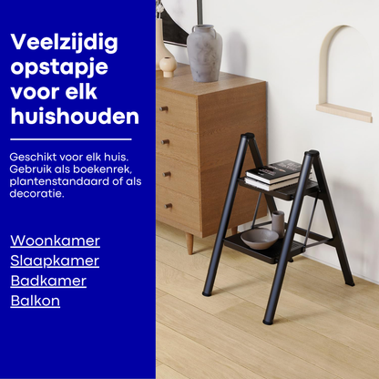 Household ladder 2 steps